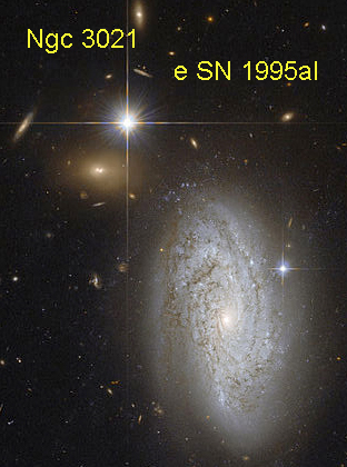 ngc3021